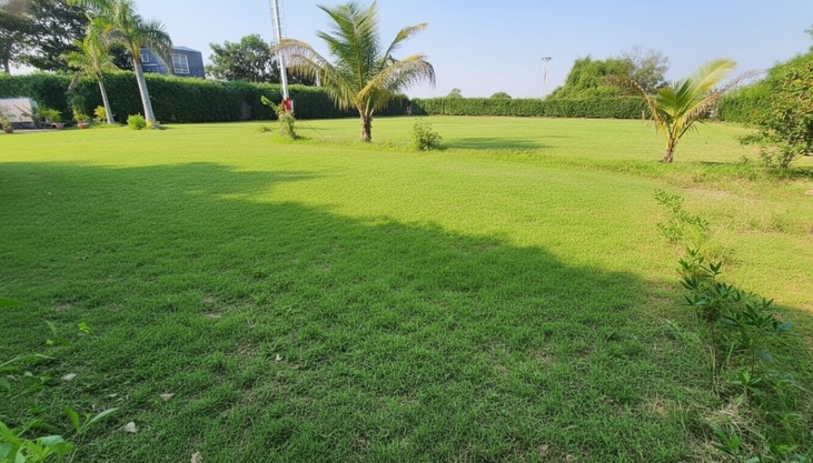 Sarjak Farm